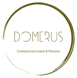 Domerus LLC